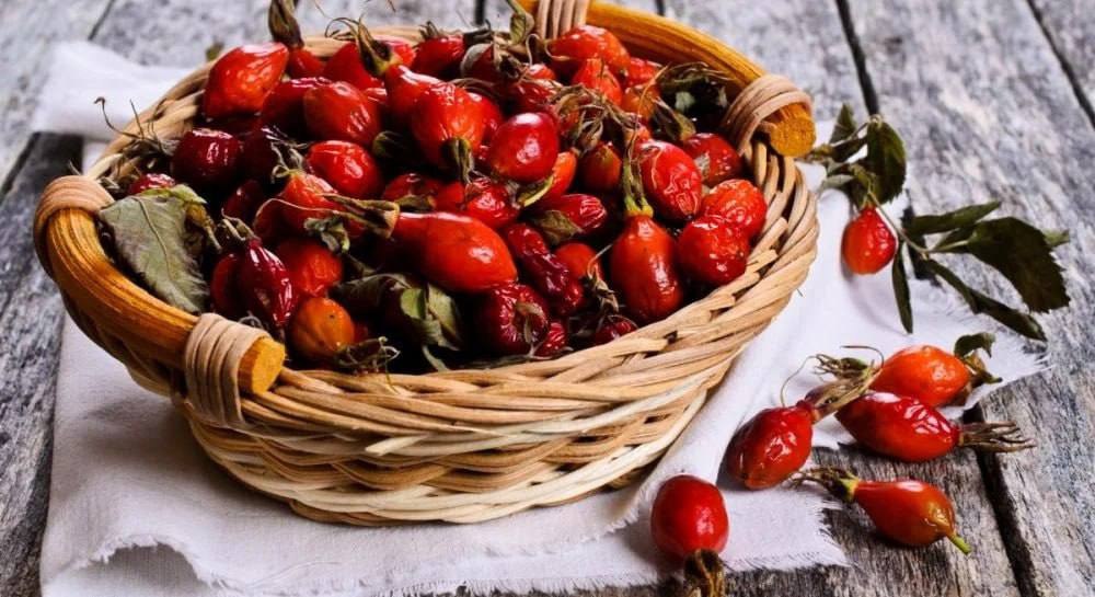 Το αγριοτριανταφυλλιά θα βοηθήσει με την κόπωση